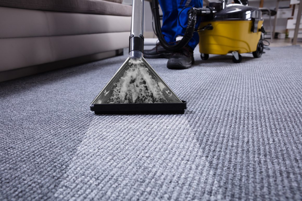 Professional cleaning team
